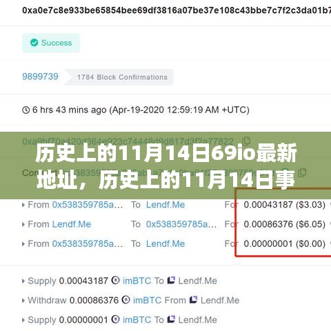 歷史上的11月14日事件與69io最新地址探索，指南及發(fā)掘方法