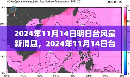 臺風(fēng)最新消息深度評測，特性、體驗(yàn)、競品對比與用戶分析（2024年臺風(fēng)動態(tài)）