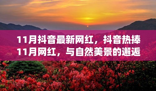 抖音熱捧的11月網(wǎng)紅，與自然美景的邂逅與內(nèi)心寧靜之旅