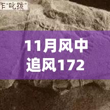 揭秘，風(fēng)中追風(fēng)最新裝備的時代地位與影響，逐風(fēng)而行，價值高達172萬裝備重磅登場！