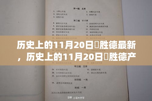 歷史上的11月20日姫?jiǎng)俚庐a(chǎn)品深度評(píng)測(cè)，特性、體驗(yàn)、競(jìng)爭(zhēng)分析與用戶群體全面解讀