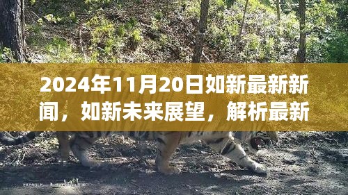 2024年如新最新新聞動態(tài)及未來展望，解析最新動態(tài)與觀點(diǎn)分歧