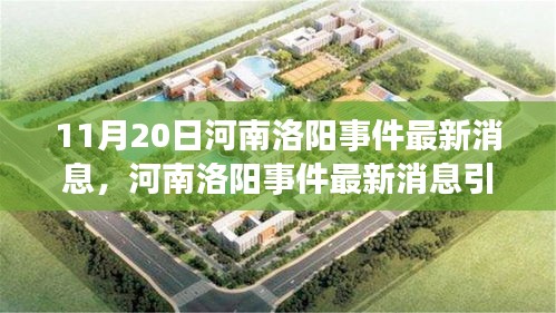 河南洛陽事件最新動態(tài)及多方熱議，深度解讀與某某觀點探討
