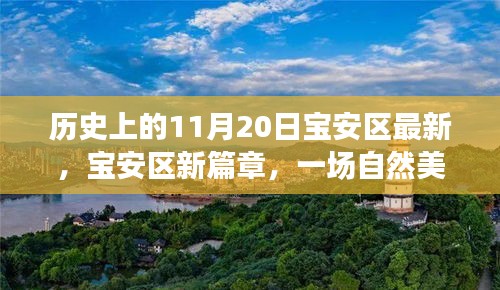 寶安區(qū)新篇章啟程，探尋自然美景之旅，溫暖陽光下的寶安區(qū)探尋日（11月20日）