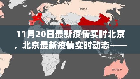 北京疫情最新動態(tài)，11月20日報(bào)告及關(guān)鍵要點(diǎn)解析