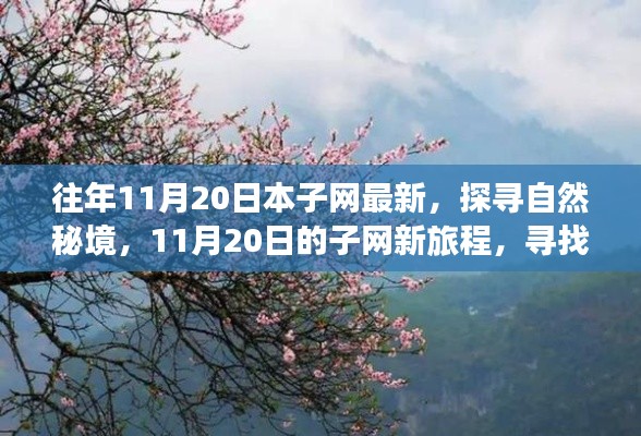 往年11月20日本子網(wǎng)最新，探尋自然秘境，11月20日的子網(wǎng)新旅程，尋找內(nèi)心的桃花源