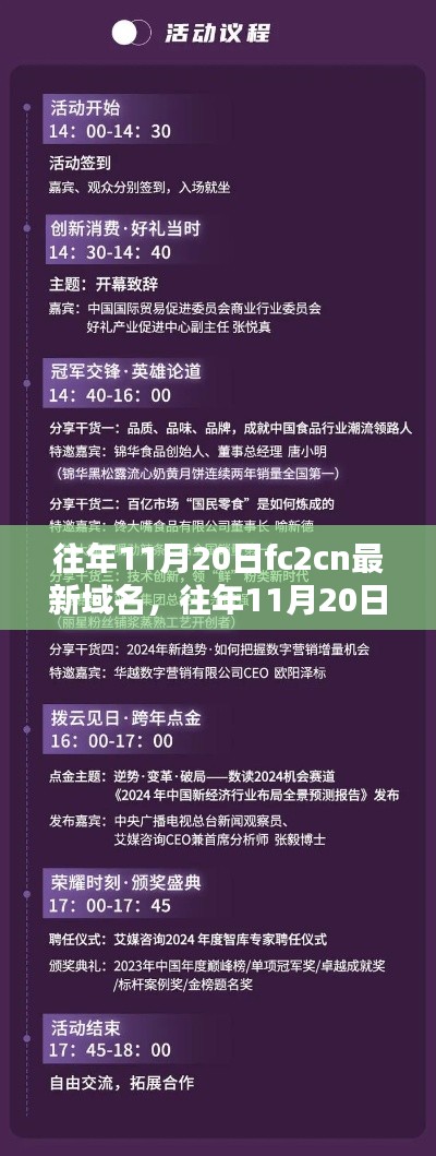 往年11月20日FC2CN域名更新，解析與觀點闡述