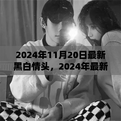 2024年最新黑白情頭評測，特性、使用體驗與目標用戶深度分析