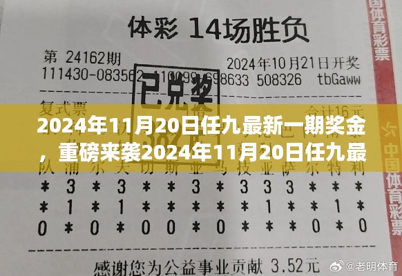 揭秘2024年11月20日任九最新一期獎金揭曉，財富密碼大解密！