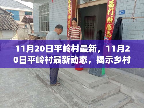 11月20日平嶺村最新，11月20日平嶺村最新動(dòng)態(tài)，揭示鄉(xiāng)村發(fā)展的時(shí)代脈搏