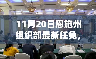 恩施州組織部最新任免動(dòng)態(tài)解析及用戶群體分析，特性、體驗(yàn)與競品對(duì)比報(bào)告