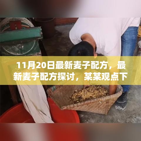 最新麥子配方探討，某某觀點(diǎn)下的分析與個人立場分享（11月20日更新）