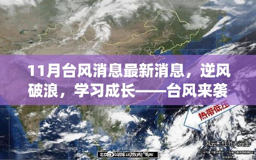 臺風(fēng)來襲，逆風(fēng)破浪，自信閃耀的成長之路