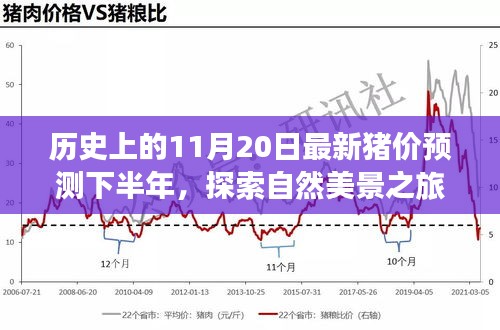 歷史上的11月20日豬價預測與心靈寧靜尋覓之旅，自然美景探索