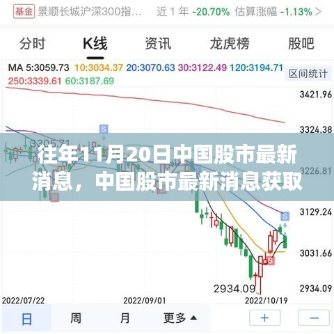 往年11月20日中國股市動態(tài)解析，獲取最新消息指南及初學者進階技巧
