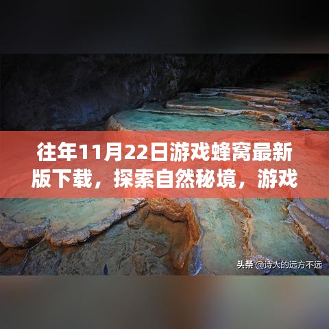 游戲蜂窩帶你探索自然秘境，最新下載，心靈平靜之旅