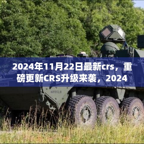 重磅更新CRS升級來襲，解讀最新政策與應(yīng)對策略，2024年CRS新動向解析