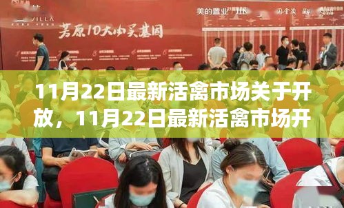 11月22日活禽市場(chǎng)開放動(dòng)態(tài)，復(fù)蘇與機(jī)遇的挑戰(zhàn)