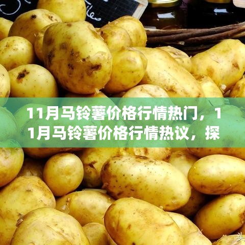 探析市場(chǎng)波動(dòng)與各方觀點(diǎn)，揭秘十一月馬鈴薯價(jià)格行情熱議背后的故事