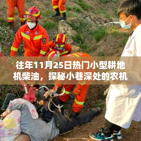 花開無言 第15頁