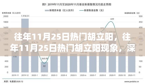 深度解析與觀點(diǎn)闡述，胡立陽(yáng)現(xiàn)象——?dú)v年11月25日的熱門焦點(diǎn)