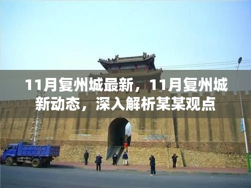 11月復(fù)州城深度觀察，最新動(dòng)態(tài)與某某觀點(diǎn)解析