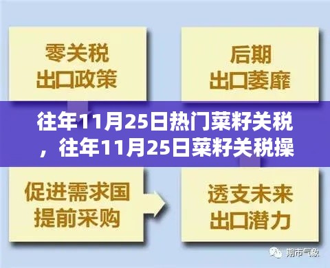 往年11月25日菜籽關稅操作詳解，入門到精通的步驟指南