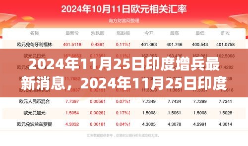 印度增兵動態(tài)深度解析與前沿觀察，最新消息及觀察分析（2024年11月25日）