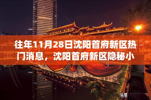 沈陽首府新區(qū)隱秘寶藏小店，揭秘往年11月28日的熱門故事