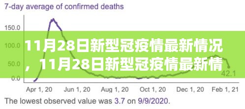 全面評測與深度解析，11月28日新冠疫情最新情況