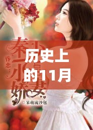 歷史上的11月28日，我的嬌妻及其深度解讀與影響