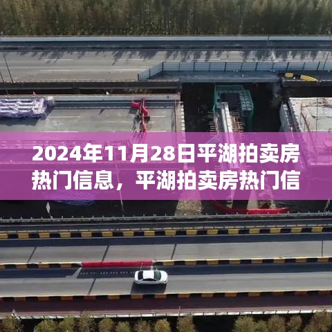 平湖拍賣房熱門信息揭秘，回顧與展望，影響深遠(yuǎn)！