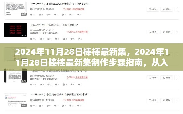 2024年11月28日棒棒最新集制作指南，從入門到精通