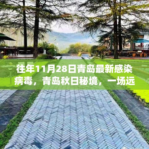 青島秋日秘境，病毒之外的綠色探險之旅