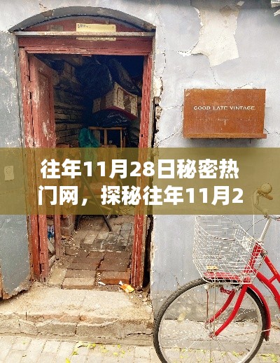 探秘往年11月28日小巷深處的秘密熱門網(wǎng)，獨特小店的魅力之旅