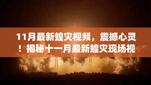 震撼心靈！揭秘十一月最新蝗災(zāi)現(xiàn)場(chǎng)實(shí)錄視頻
