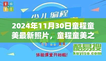 童程童美之旅，探索自然美景的最新照片與內(nèi)心平靜的力量之旅（2024年11月30日）