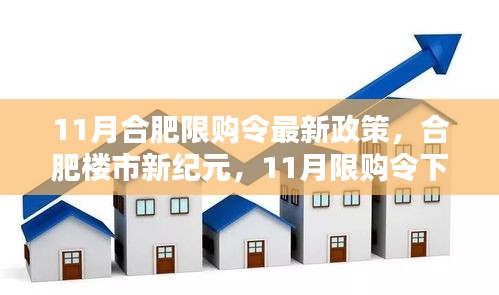 合肥樓市新紀(jì)元，限購令下智能科技房產(chǎn)政策開啟智慧生活新篇章