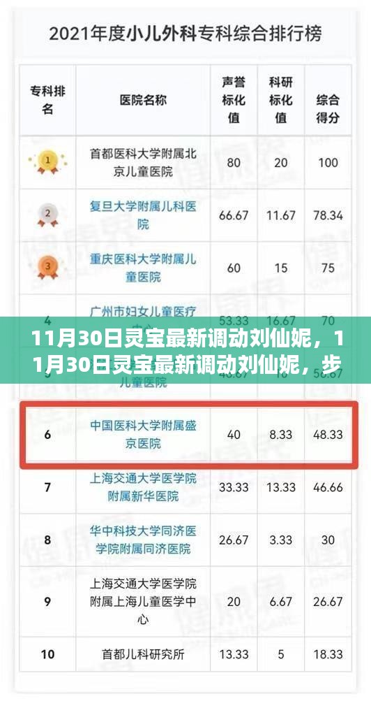揭秘靈寶最新人事調(diào)動，劉仙妮的晉升之路與技能學(xué)習(xí)指南