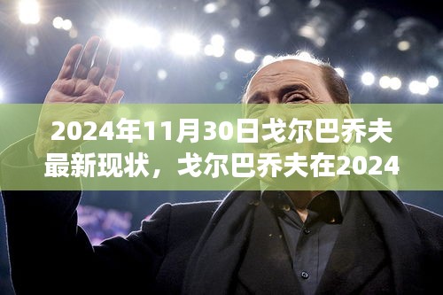戈?duì)柊蛦谭蜃钚卢F(xiàn)狀，多維度視角下的審視（2024年）
