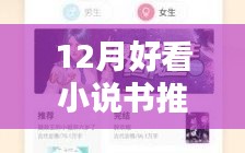 十二月最新熱門小說推薦與深度測評，不容錯過的閱讀盛宴