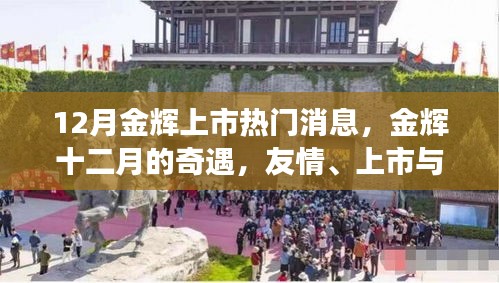 金輝十二月，友情、上市與家的溫馨故事，十二月金輝上市熱議話題