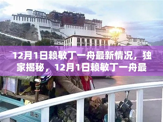 獨家揭秘，賴敏丁一舟最新動態(tài)，12月1日最新情況速遞