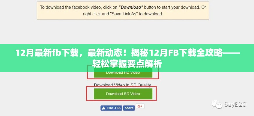 揭秘，最新動態(tài)下的FB下載全攻略，輕松掌握要點解析