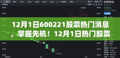 揭秘股市風(fēng)云，以600221股票為例，洞悉股市動態(tài)與先機