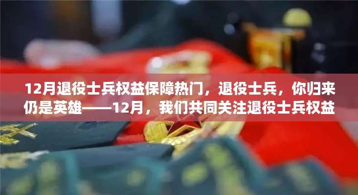 關注退役士兵權益保障，歸來仍是英雄，共同前行之路在十二月揭曉