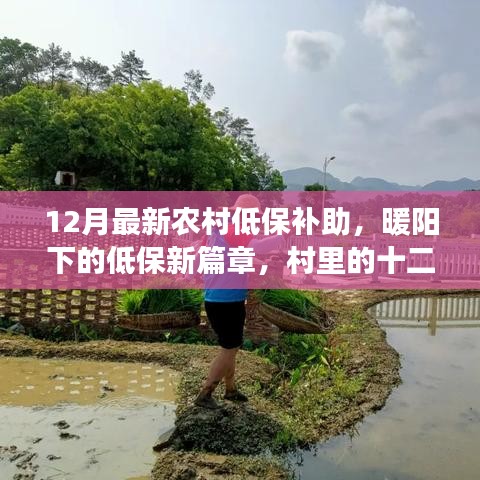 農(nóng)村低保補助新篇章，暖陽下的十二月溫情紀(jì)事