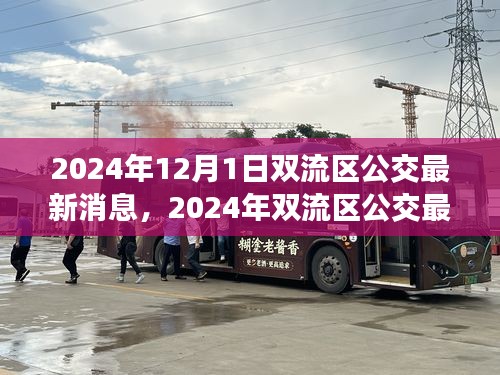 2024年雙流區(qū)公交最新消息詳解，獲取與使用公交服務(wù)的全面指南