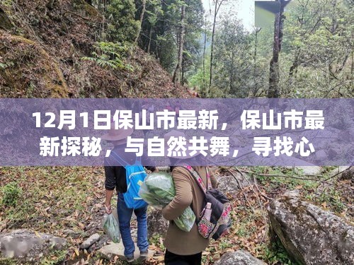 保山市最新探秘，與自然共舞，尋找心靈的寧靜圣地之旅