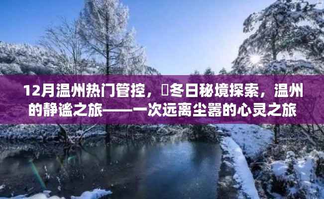 溫州冬季秘境探索，靜謐之旅的心靈之旅，12月熱門管控下的冬日秘境體驗